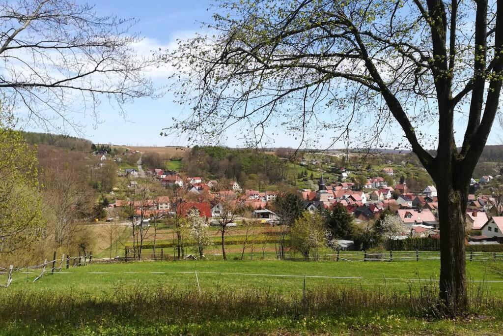 Ferienhaus Zum Kuckuck, Wng 2, Urlaub Im Eichsfeld Kallmerode Екстер'єр фото