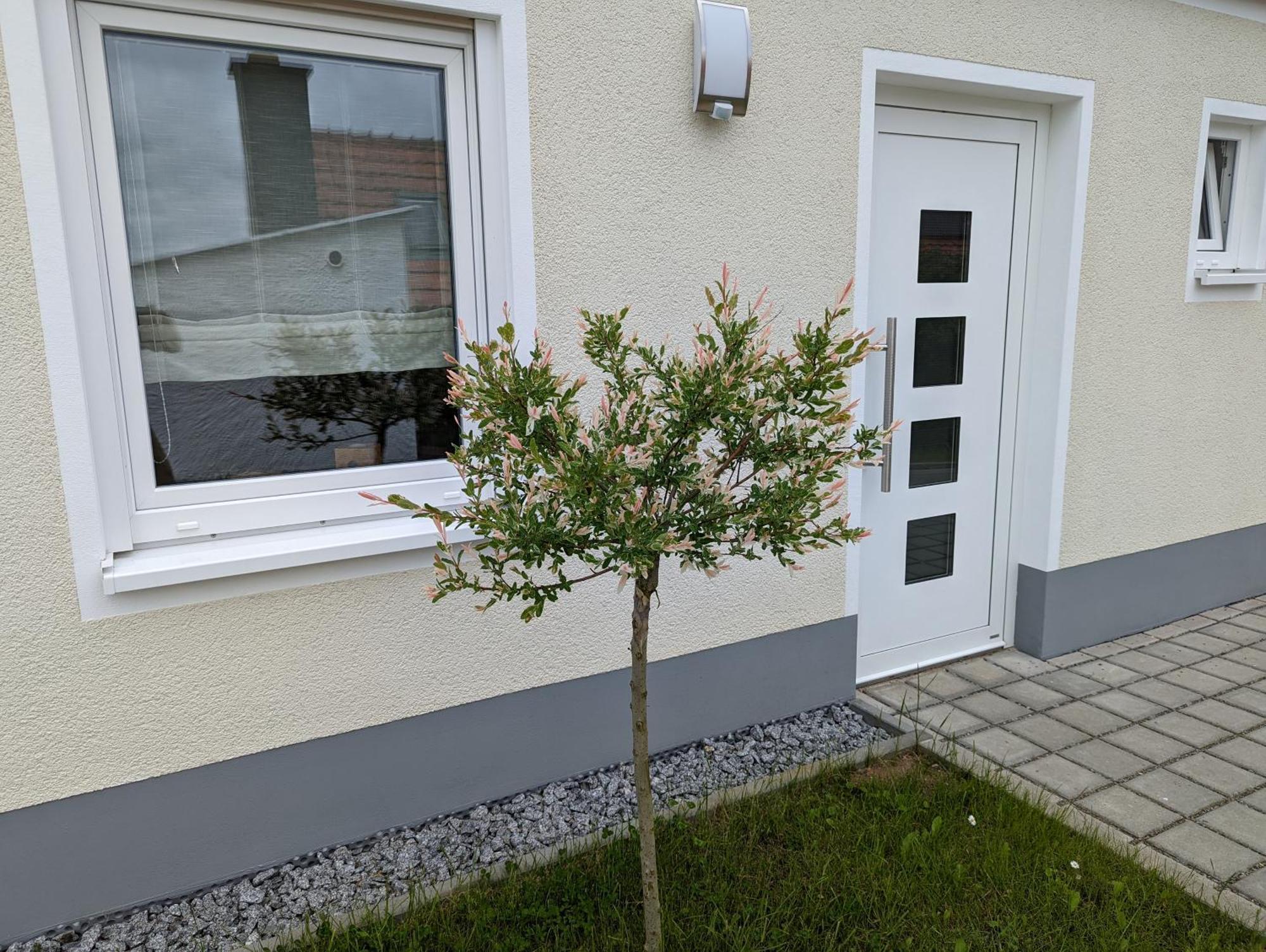 Ferienhaus Zum Kuckuck, Wng 2, Urlaub Im Eichsfeld Kallmerode Екстер'єр фото